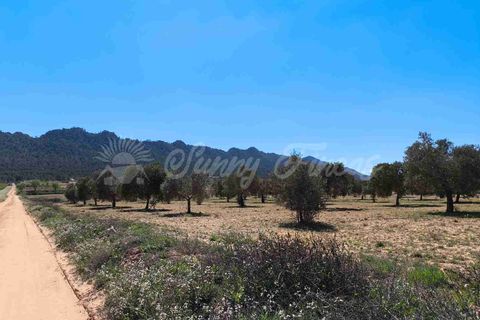 Helårsgrund i Yecla, Murcia, Yecla - € 26.500 | Ref: SF0526 - foto 5